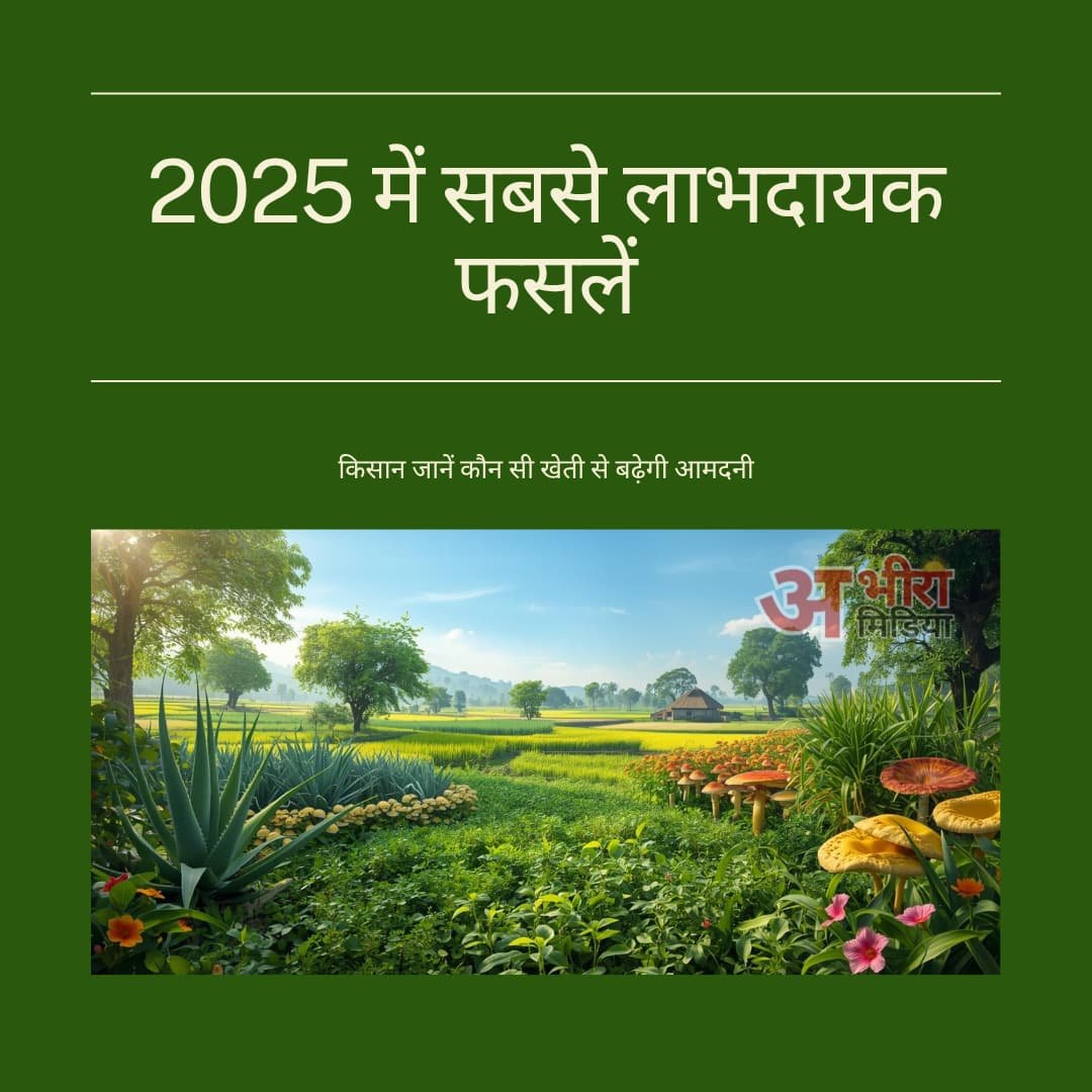 2025 में सबसे ज्यादा मुनाफा देने वाली फसलें – कौन सी खेती सबसे फायदेमंद है?